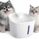 bebedouro para caes e gatos