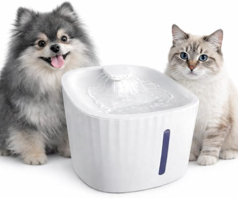 bebedouro para caes e gatos